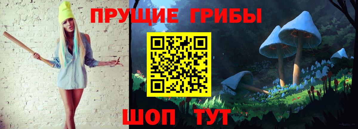 Тулун  Псилоцибиновые грибы ЛСД  Вход с VPN  Псилоцибиновые грибы GOLDEN TEACHER 